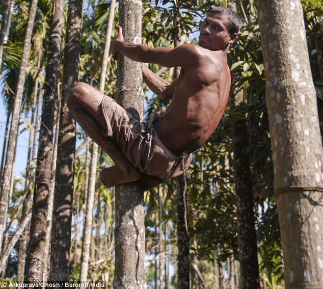 Man with 14 inch TAIL Indian worshipped as a reincarnation of a monkey 