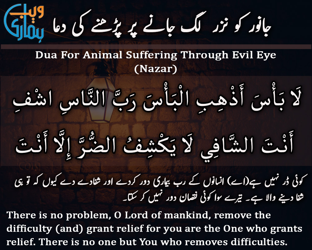 Dua for Animal Suffering Through Evil Eye (Nazar)