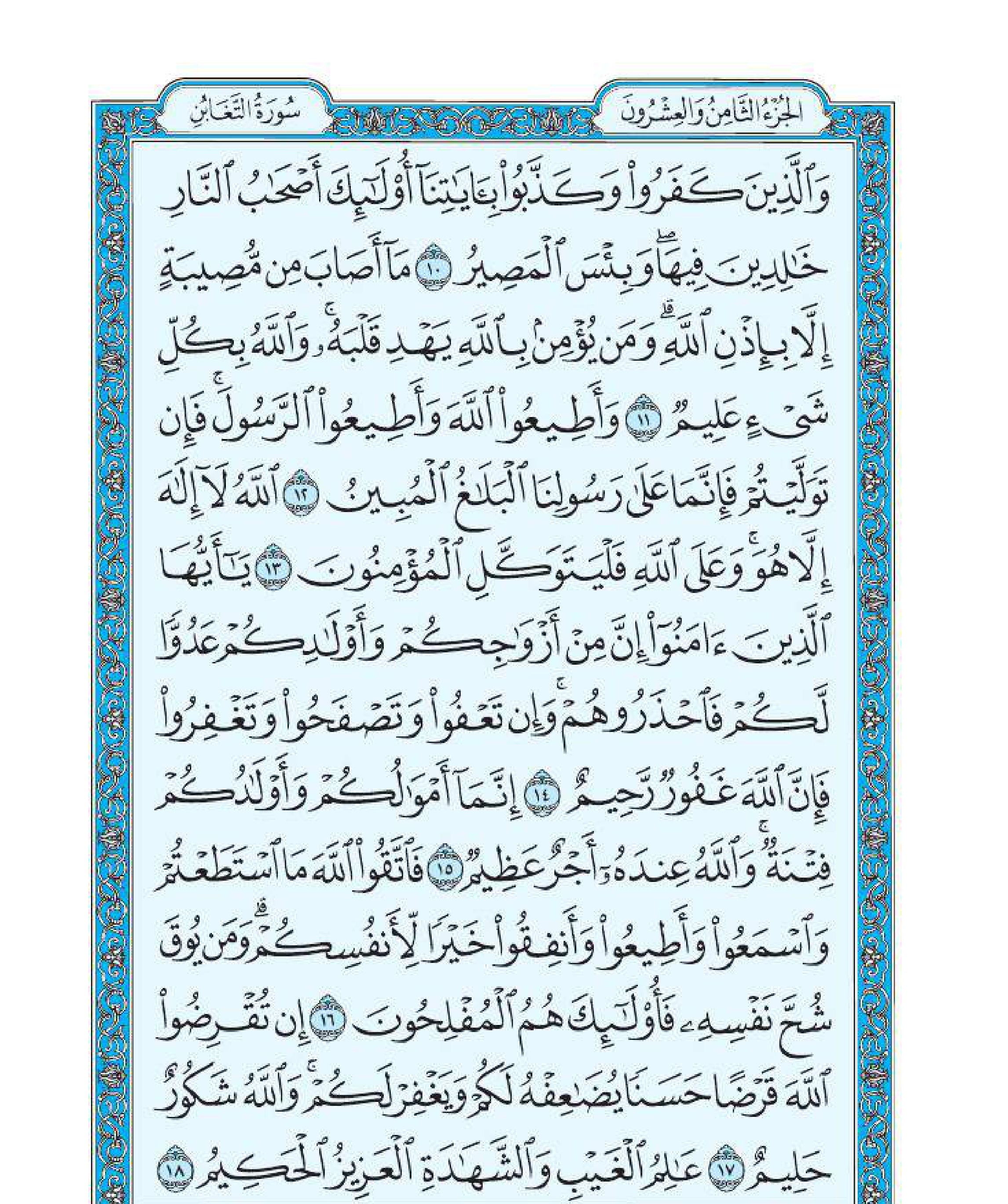 سورة التغابن 3