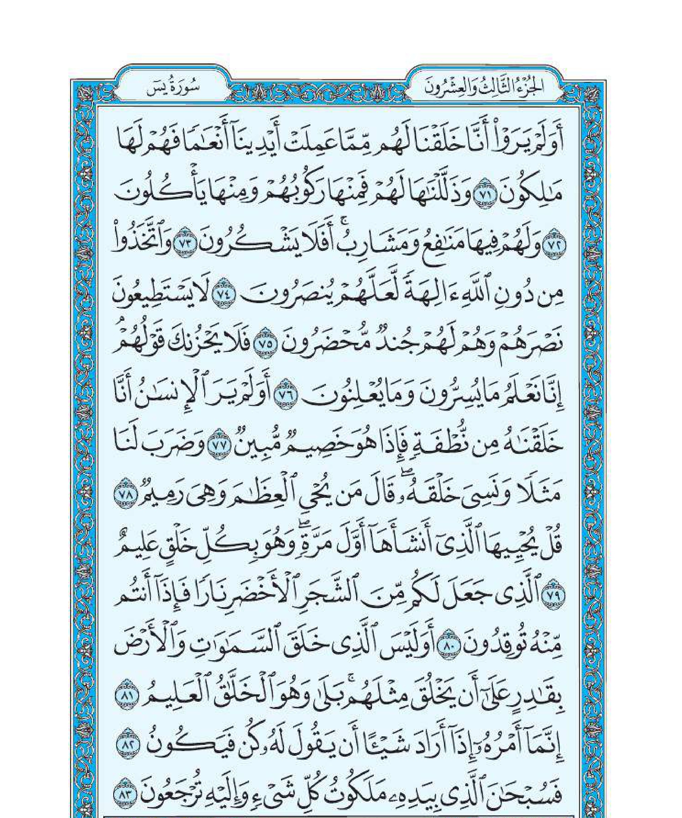 سورة ياسين 6