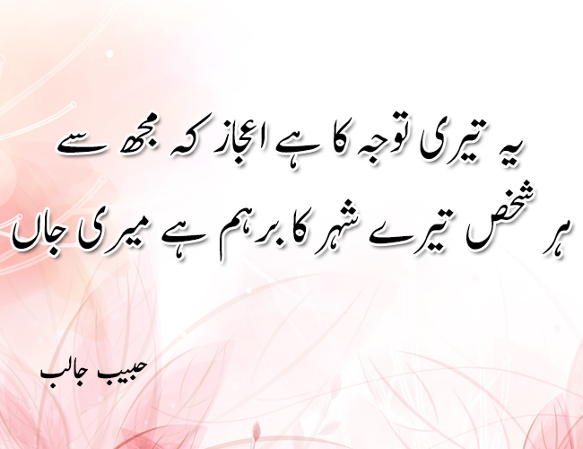 jaun elia