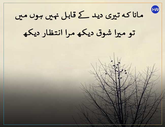 Maana Ke Tery Maana Ke Tery