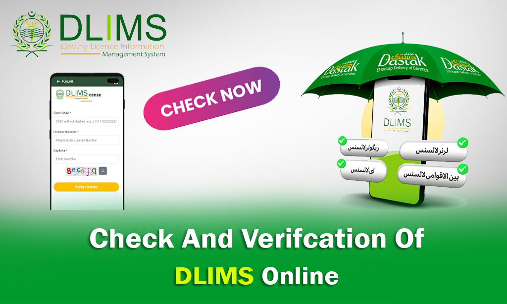 DLIMS Online Check December 2025