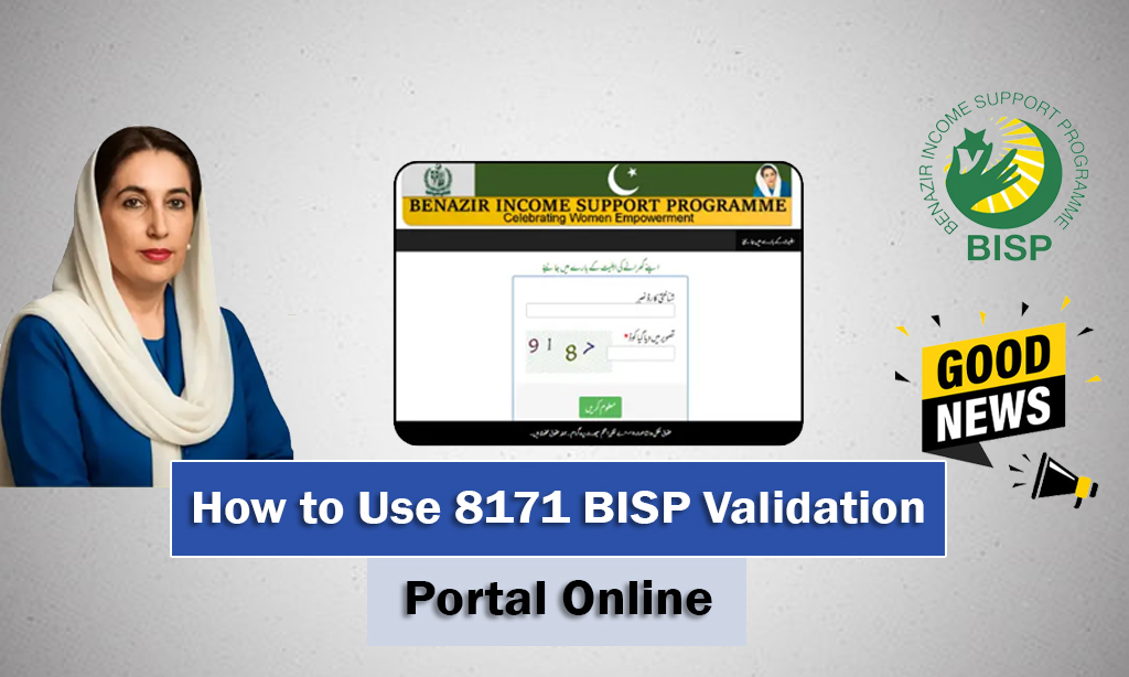 BISP Validation Portal Purpose November