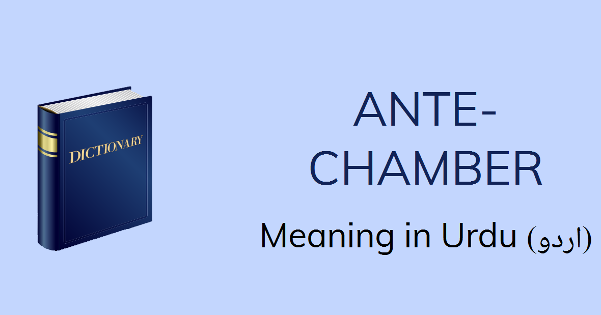 AnteChamber Meaning in Urdu with 3 Definitions and Sentences