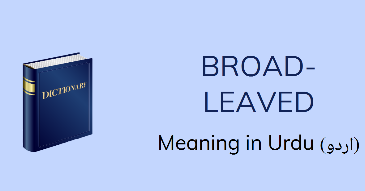 Broad Leaved Meaning In Urdu Broad Leaved Definition English To Urdu