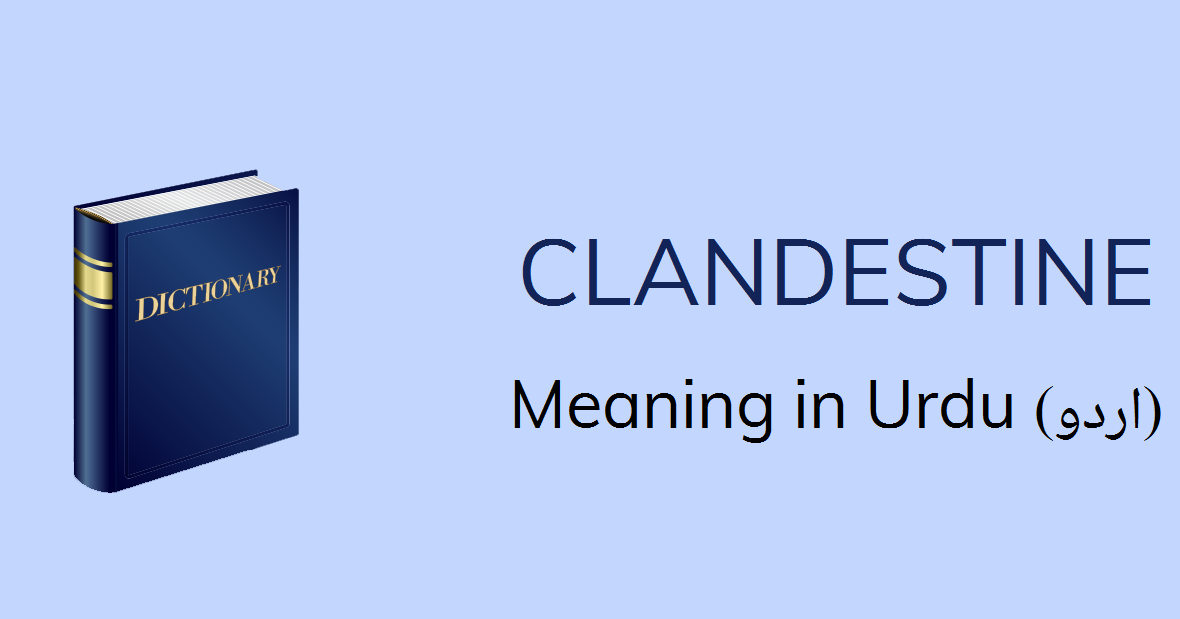 clandestine-meaning-in-urdu-with-3-definitions-and-sentences