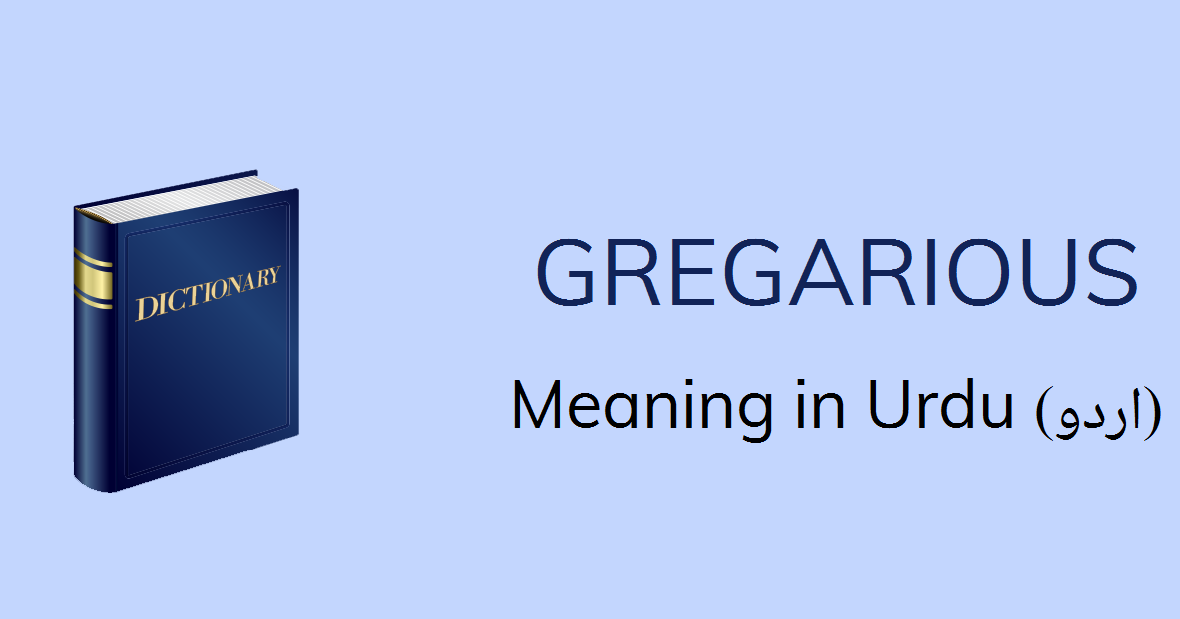 Gregarious Meaning In Urdu اکھٹا رہنے والا Akhata Rahnay Wala