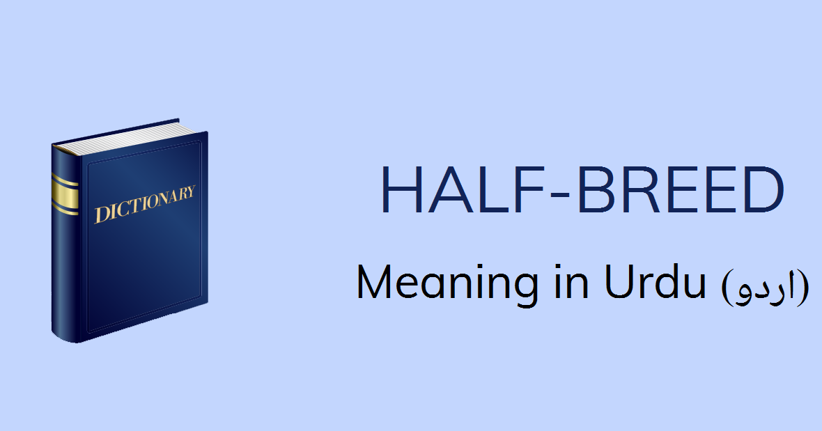 half-breed-meaning-in-urdu-with-2-definitions-and-sentences