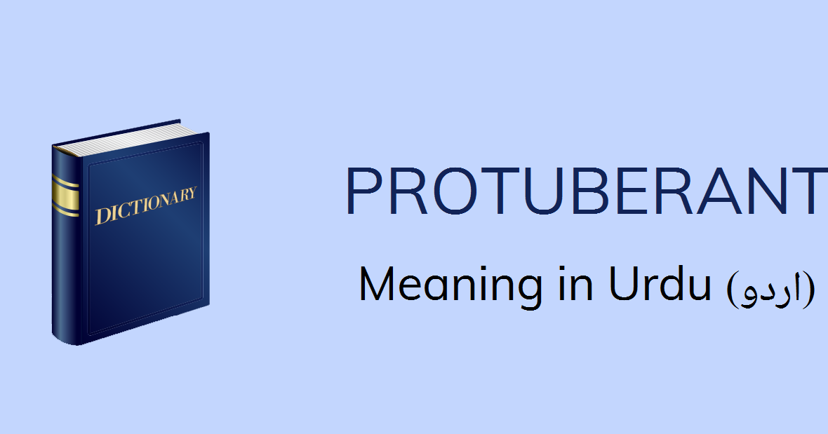 Protuberant Meaning In Urdu ابھرا ہوا Ubhara Hua Meaning