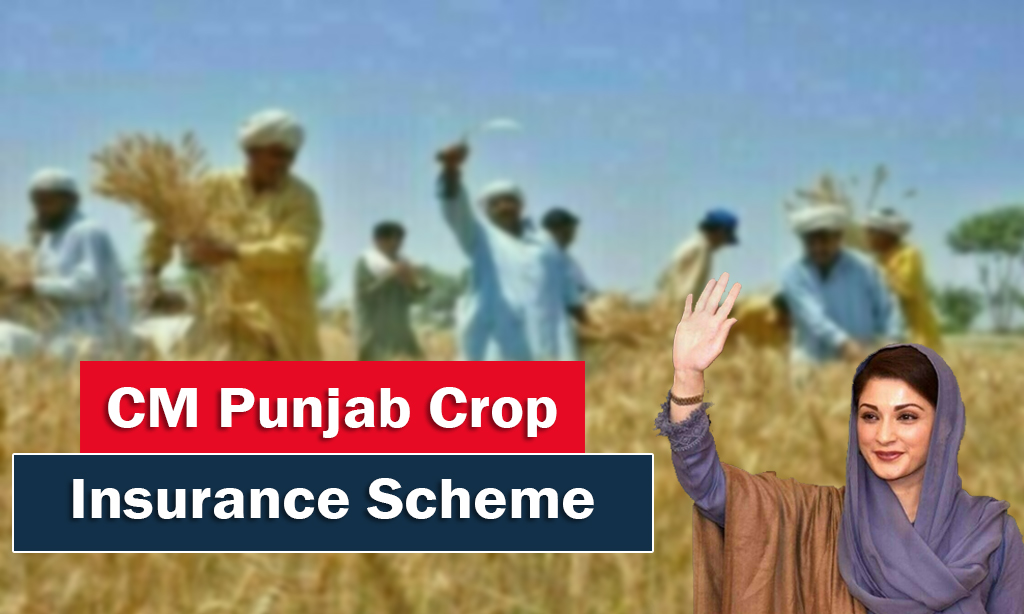 CM Punjab Crop Insurance Scheme Online Registration