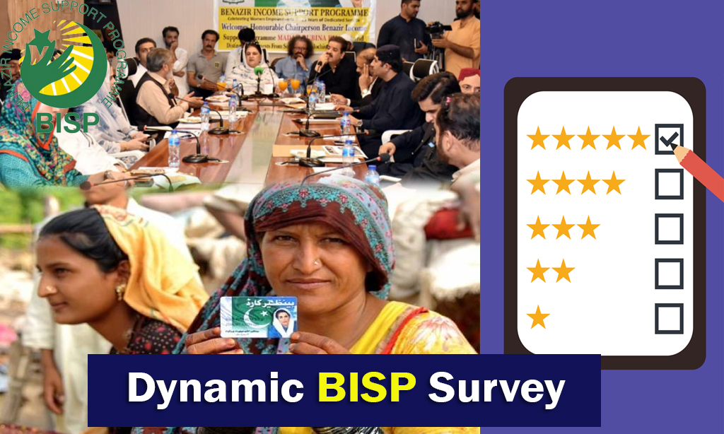 Dynamic BISP Survey