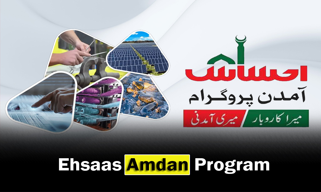 Ehsaas Amdan Program CNIC Check Online