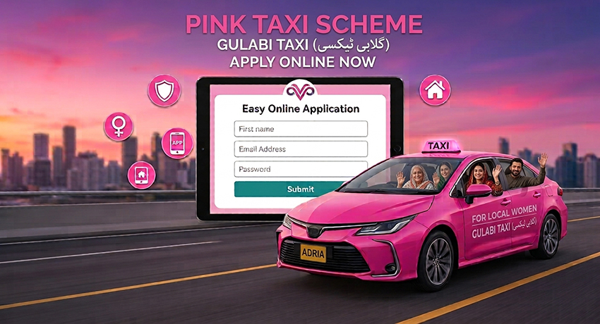 Pink Taxi Scheme Apply Online