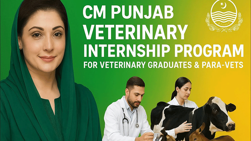 Punjab Veterinary Internship Program Online Apply
