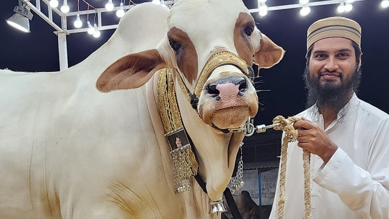 Kohinoor Cattle Farm