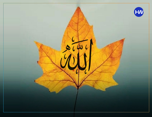 Allah Name DP Pic
