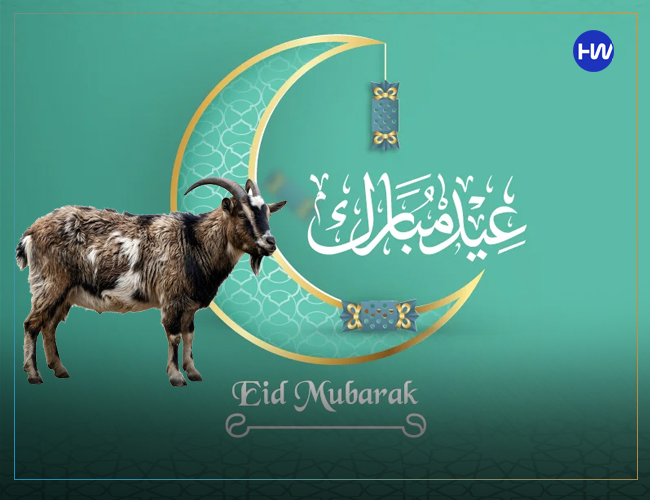 Eid ul adha mubarak DP