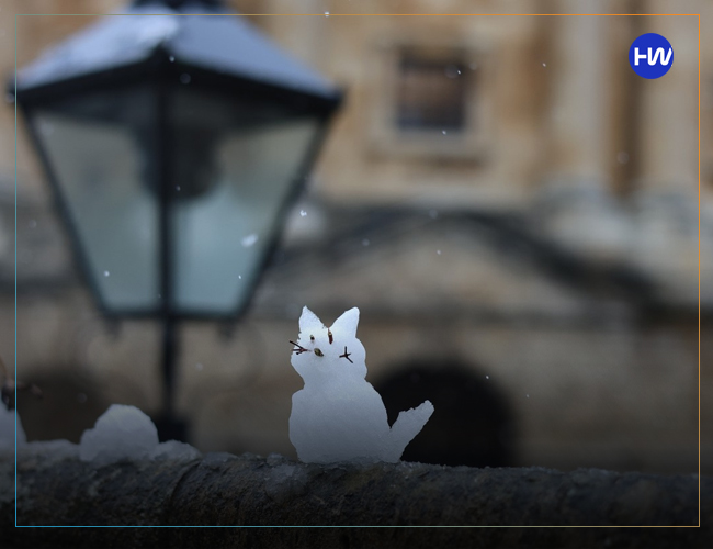 Cute winter dp for whatsapp