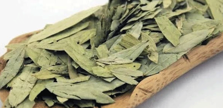 ایکٹیمرا انجکشن سے سنا مکی تک: کوورنا کے علاج میں یہ سب کس حد تک مددگار؟