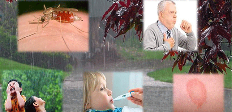 مون سون میں خود کو مختلف بیماریوں سے بچانے کے لیے اہم ٹپس