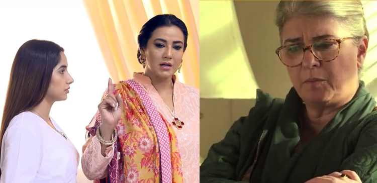 چند ایسی باتیں جو ہر ساس اپنی بہو سے کہنا چاہتی ہے