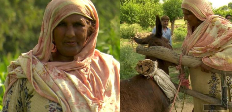 شوہر چھوڑ کر گیا تو بھیک پر گزارا کیا لیکن ایک دن.... 70 برس کی حلیمہ بی بی چالیس برس سے کیا کام کر کے زندگی گزار رہی ہیں