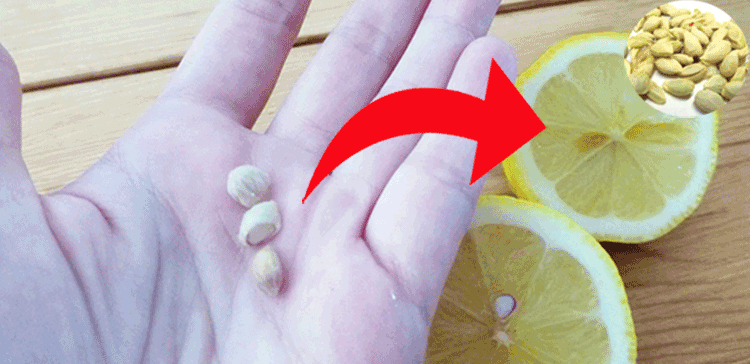 کچھ فوائد جو صرف لیموں کے بیج ہی سے مل سکتے ہیں