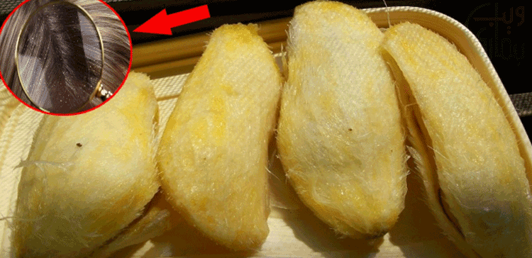 سستی گھٹلی مگر فائدے ہزار، سر کی خشکی بھگائے خوبصورت بنائے