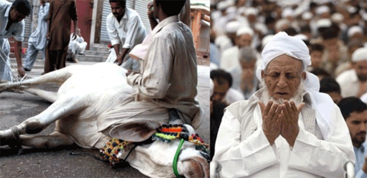 قربانی کا اصل مقصد کیا ہے اور یہ کس عظیم واقعے کی یاد میں منائی جاتی ہے؟