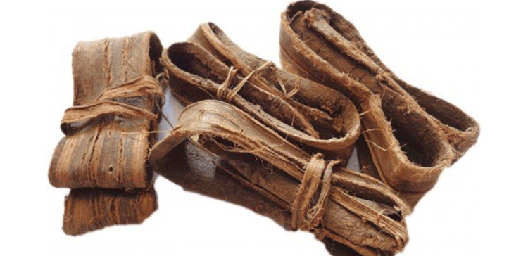 دنداسے کے استعمال سے متعلق کچھ ایسی باتیں جو سب نہیں جانتے!