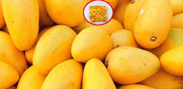 اے جاتے ہوئے آم۔۔۔ذرا ٹہرو ذرا ٹہرو۔۔۔جاتے ہوئے آم کیسے محفوظ کریں؟