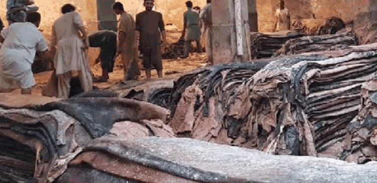 کیا جانوروں کی کھال کی قیمت گرنا بھی مغرب کی سازش ہے! 