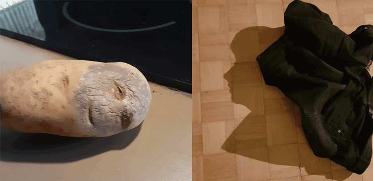 10 ایسی حیرت انگیز تصاویر جو ایک لمحے کے لیے آپ کو چونکنے پر مجبور کردیں گی