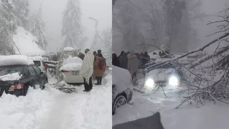 مری میں پھنسے لوگوں پر کیا قیامت گزری اور انہوں نے کیا دیکھا؟