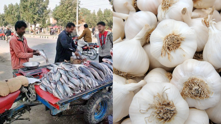 عام استعمال کی اشیا کی خریداری کے ایسے طریقے جو آپ کو بڑے نقصان سے بچا لیں