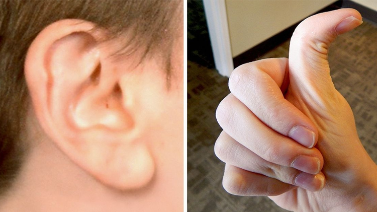 انسان کے جسم کے کچھ حصوں کے حیرت انگیز کام جو عام طور پر لوگ نہیں جانتے