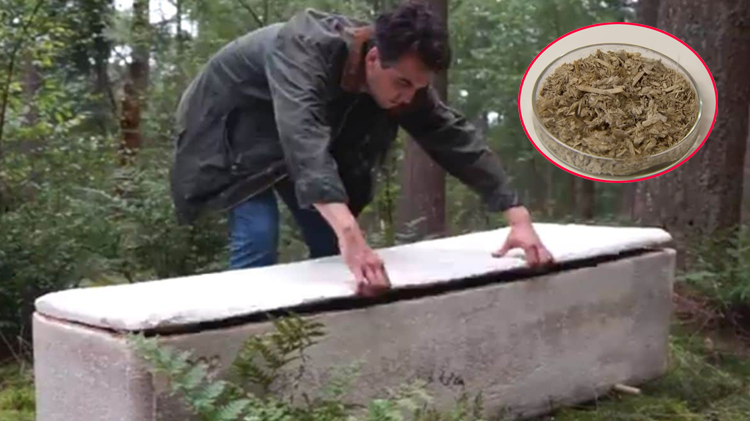 دنیا کا زندہ تابوت جو قبر میں جانے کے بعد اُگنا شروع ہو جاتا ہے