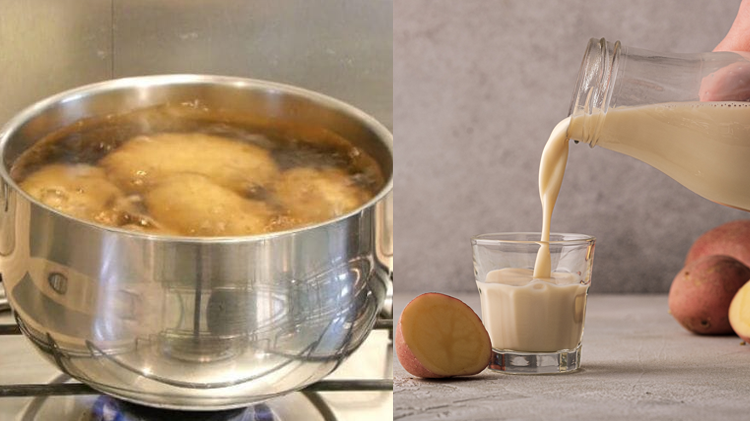 فائدے مند آلو کا دودھ گھر پر تیار کریں، ایک ایسی چیز جس نے دنیا بھر میں تہلکہ مچا دیا