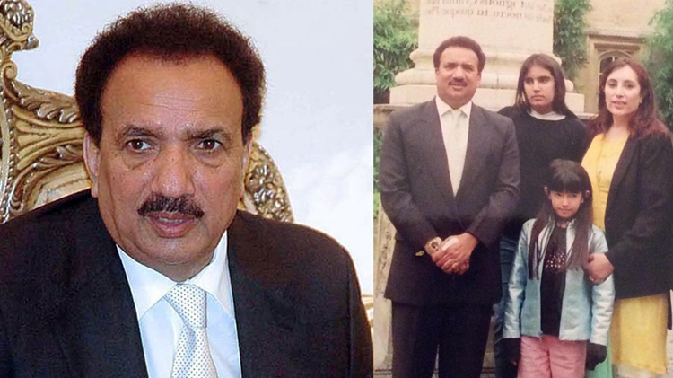 رحمان ملک سیاست میں آنے سے قبل کیا کام کرتے تھے؟