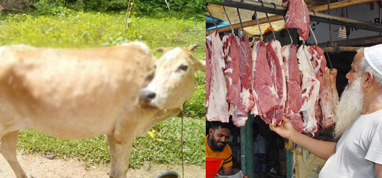 گائے کے گوشت اور دودھ میں بیماری پھیلنے کا انکشاف، کچھ ایسی چیزیں جو لذیذ بھی اور محفوظ بھی