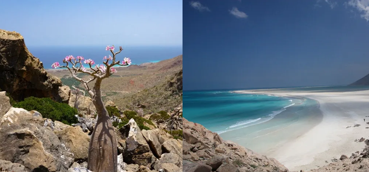 انوکھے حقائق رکھنے والا دجال کا جزيرہ جس کے بارے میں بہت کم لوگ جانتے ہیں