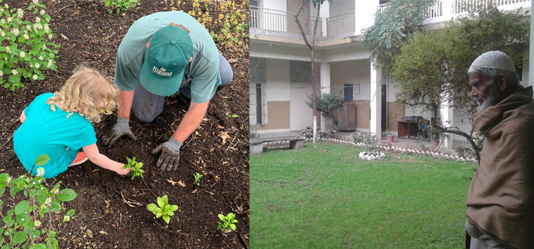 پہلے لوگ کیا چھپانے کے لیے اپنے گھروں میں لان بناتے تھے؟