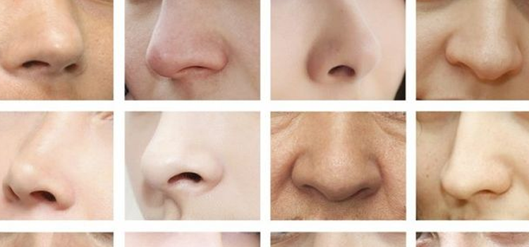 شخصیت کا ٹیسٹ۔۔۔ آپ کی ناک کی بناوٹ آپ کی شخصیت کے بارے میں کیا ظاہر کرتی ہے؟