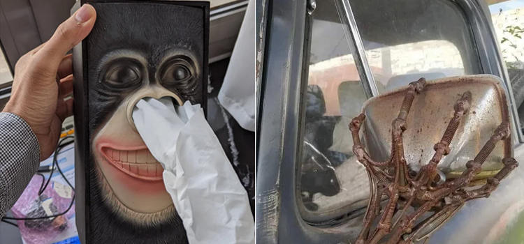 کچھ ایسی تصاویر جنہیں دیکھ کر ہنسی روکنا مشکل ہوجائے گا