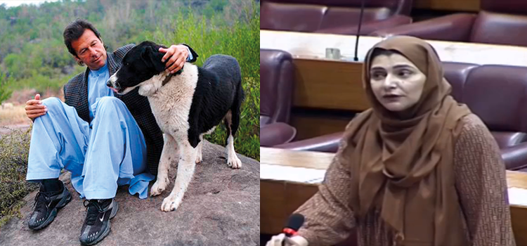 سیاستدانوں کے وائرل جملے جنہوں نے حریف کو بھی ہنسنے پر مجبور کردیا