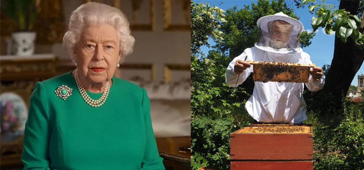 شاہی خاندان کی چند عجیب اور منفرد روایات جن پر ضرور عمل کیا جاتا ہے