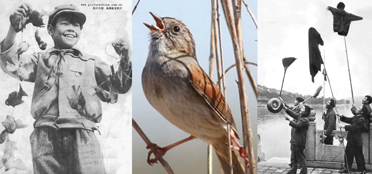 قدرت سے جنگ کا نتیجہ مہنگا پڑا٬ چین کی ایک غلطی جو ساری دنیا کے لیے سبق بن گئی