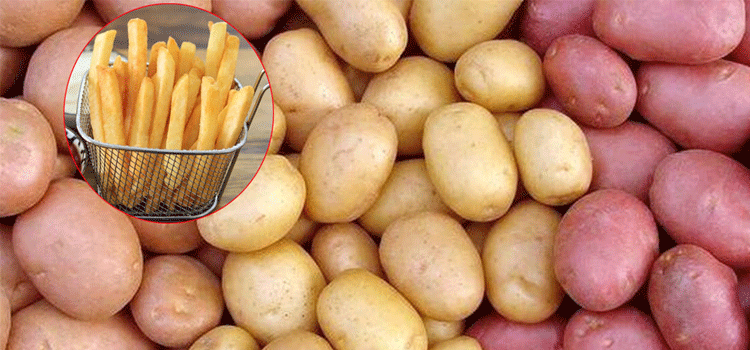 آلو گوشت اور فرنچ فرائز کے آلو مختلف کیوں ہوتے ہیں اور ان کی پہچان کیا ہے؟