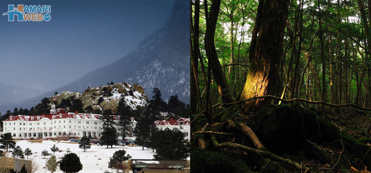 خودکشی کے جنگل سے لے کر جہنم کے دروازے تک، دنیا کے سب سے خوفناک اور پراسرار مقامات